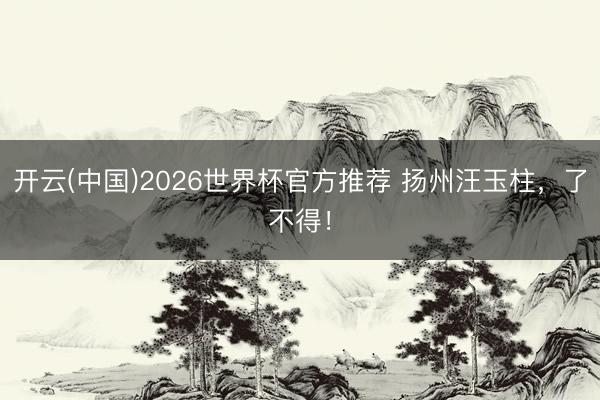 开云(中国)2026世界杯官方推荐 扬州汪玉柱，了不得！