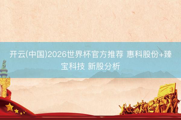 开云(中国)2026世界杯官方推荐 惠科股份+臻宝科技 新股分析